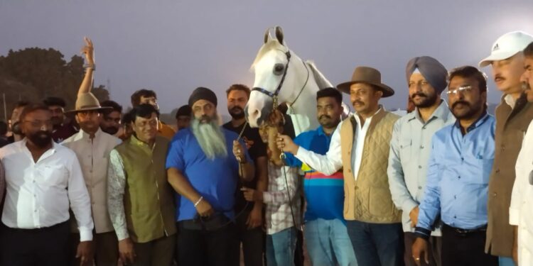 अश्व सौदर्य स्पर्धेत महाराष्ट्रातील काजिम व पंजाबचा अल्बक्ष  प्रथम