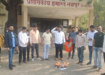 अधिवेशनात विद्यापीठ विधेयक पारित करुन घेतल्याच्या विरोधात भाजपा युवा मोर्चाने जाळल्या विधेयकाच्या प्रती