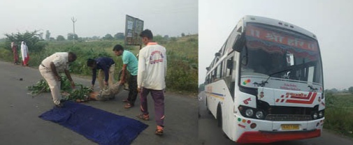 नंदुरबारहुन – सुरतकडे जाणाऱ्या श्रीहरी ट्रॅव्हल्सने सायकलला धडक दिल्याने एकाचा मृत्यू