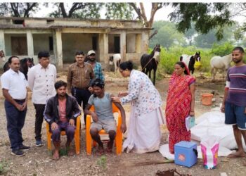 सारंगखेडा येथील अश्‍वबाजारात येण्यासाठी लसीकरण आवश्यक