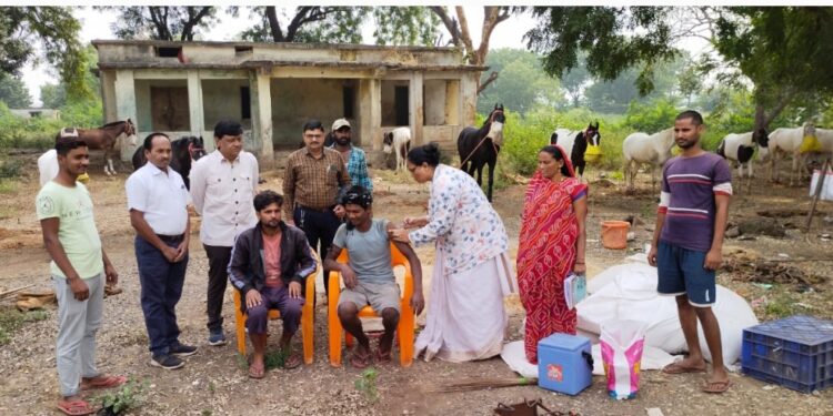 सारंगखेडा येथील अश्‍वबाजारात येण्यासाठी लसीकरण आवश्यक