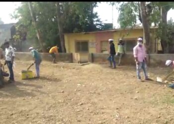 नववर्षाच्या पूर्वसंध्येला अनेक युवक वेगळ्याच धुंदीत फिरतात, मात्र युवकांनी चक्क केली शहराची केली सापसफाई