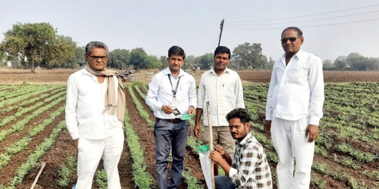 समशेरपूर येथे हरभरा पिकावरील घाटे अळी नियंत्रणाबाबत शेतकऱ्यांना  मार्गदर्शन