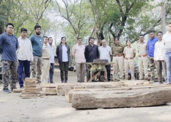 भामरमाळ येथे वनविभागाच्या कार्यवाहीत दिड लाखाच्या सागाच्या लाकडासह रंधामशिन जप्त