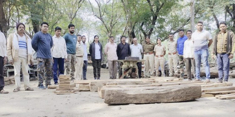 भामरमाळ येथे वनविभागाच्या कार्यवाहीत दिड लाखाच्या सागाच्या लाकडासह रंधामशिन जप्त