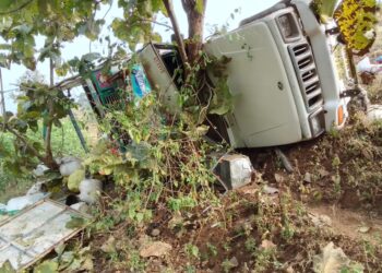 मिरची तोडणीसाठी येणाऱ्या मजुरांचे वाहन दरीत कोसळले, तीन ठार बारा जण जखमी