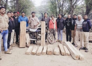 वनविभागाचे कर्मचारी दिसताच दुचाकी फेकुन एकाने ठोकली धुम,साग चौपाटसह एक लाखाचा मुद्देमाल जप्त