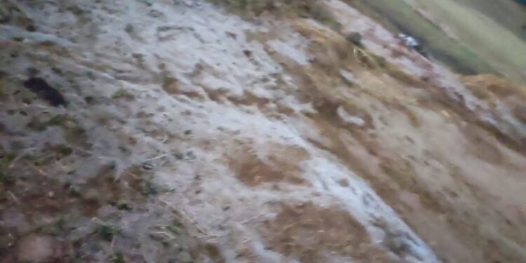 नंदुरबार जिल्ह्यात निच्चांकी ७ अंश सेल्सिअस तापमानाची नोंद,दाब आणि वालंबा येथे हिमवृष्टी झाल्याची नोंद