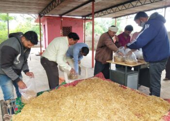 धडगाव तालुक्यातील काकरदा येथे शेतकऱ्यांना मशरूम शेती बाबत देण्यात आले प्रशिक्षण
