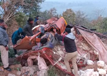 चरणमाळ घाटात कोंबड्यांनी भरलेला ट्रकचे ब्रेक फेल झाल्याने रस्त्यावर पलटला, ट्रक व कोंबड्यांचे मोठे नुकसान