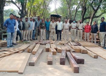 नवापूर तालुक्यात  वनविभागाचे छापे पावणे दोन लाखांचा मुद्देमाल हस्तगत, दोघांविरुद्ध वनगुन्हे