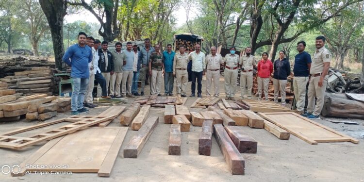 नवापूर तालुक्यात वनविभागाचे छापे पावणे दोन लाखांचा मुद्देमाल हस्तगत, दोघांविरुद्ध वनगुन्हे