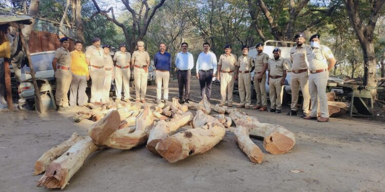 जामतलाव येथे वनविभागाने कारवाई करीत ५० हजाराचे खैर लाकुड केले जप्त