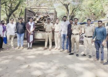 खेकडा गावाजवळ वनविभागाच्या पथकाने सव्वा दोन लाखाचे अवैध लाकूड केले जप्त