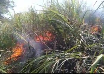 कोंढावळ येथील उसाच्या शेताला लागली शॉर्ट सर्किटमुळे आग, अडीच एकर ऊस जळून खाक