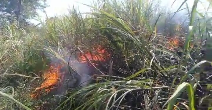 कोंढावळ येथील उसाच्या शेताला लागली शॉर्ट सर्किटमुळे आग, अडीच एकर ऊस जळून खाक