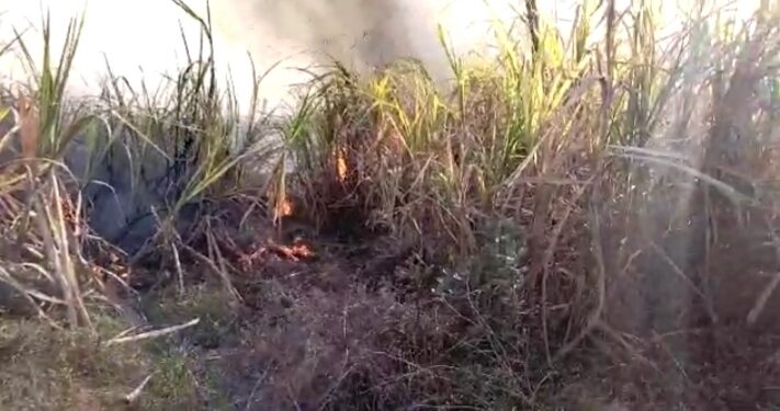 कुसुमवाडा येथे आगीत सहा एकर ऊस जळून खाक