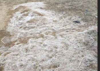 सलग तिसऱ्या दिवशीही डाब येथे दवबिंदू गोठले