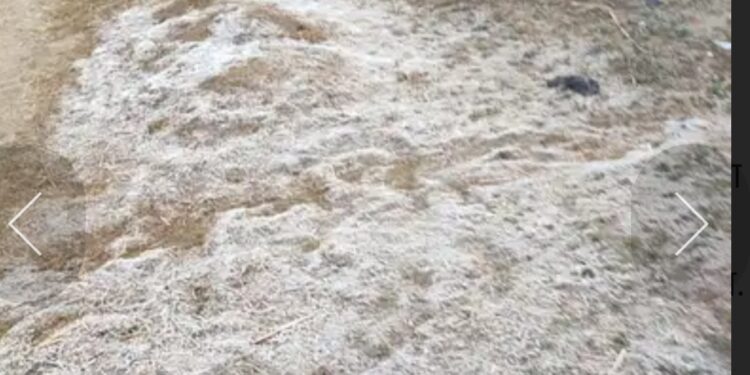 सलग तिसऱ्या दिवशीही डाब येथे दवबिंदू गोठले