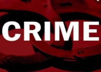 पपई व्यापाऱ्याने मामाचे मोहिदे परिसरातील शेतकऱ्यांना लावला ४६ लाखांचा चुना, व्यापाऱ्याविरूद्ध गुन्हा दाखल