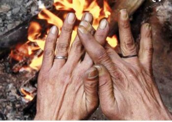 नंदूरबार जिल्ह्यात पुन्हा थंडीच्या लाटेचा इशारा