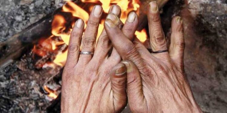 नंदूरबार जिल्ह्यात पुन्हा थंडीच्या लाटेचा इशारा