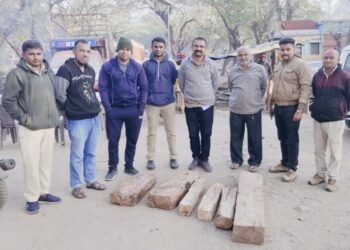 वनविभागाचे पथकाला पाहताच साग चौपाट फेकून अज्ञात इसम झाला पसार, २० हजाराचे चौपाट जप्त