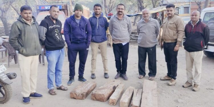 वनविभागाचे पथकाला पाहताच साग चौपाट फेकून अज्ञात इसम झाला पसार, २० हजाराचे चौपाट जप्त