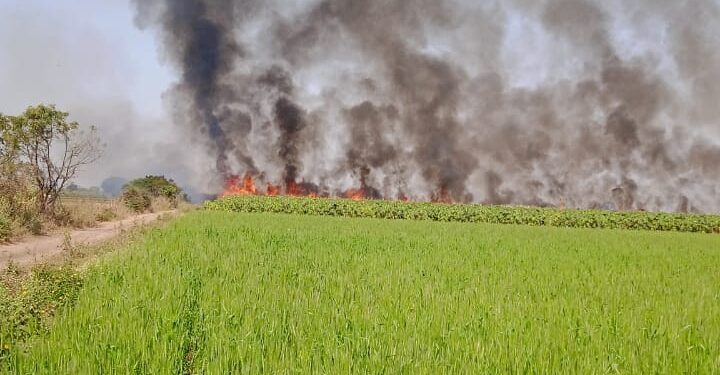 ट्रान्स्फॉर्मरवरील वीज वाहिनीची तार तुटून १३ शेतकऱ्यांचा ७५ एकर ऊस जळून खाक
