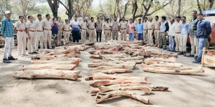 जामतलाव येथून वनविभागाने केले दीड लाखांचे लाकूड जप्त
