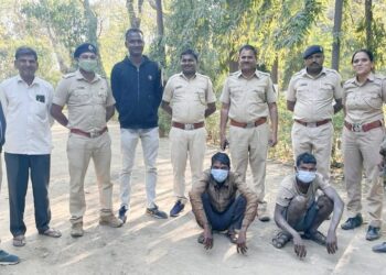 अवैधपणे वृक्षतोड करून नांगरटी केल्या प्रकरणी दोघांना १५ दिवसांची न्यायालयीन कस्टडी