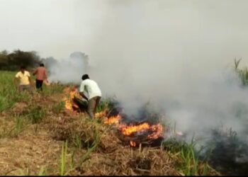 बामखेडा शिवारात शॉट सर्किटमुळे आग; दीड  एकर तोडणीवर आलेला तर तीन एकर कोवळे ऊसाचे पीक जळून खाक