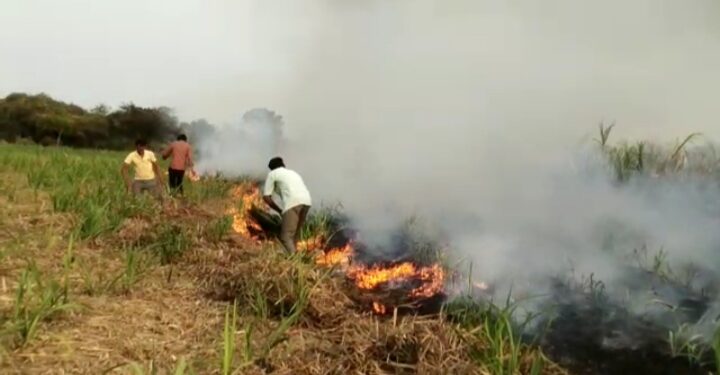 बामखेडा शिवारात शॉट सर्किटमुळे आग; दीड एकर तोडणीवर आलेला तर तीन एकर कोवळे ऊसाचे पीक जळून खाक