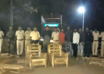 नवापूर तालुक्यात वनविभागाच्या कार्यवाहीत 90 हजाराचे सागाचे लाकूड जप्त