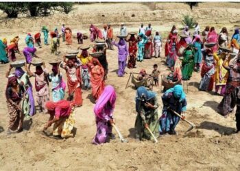 मनरेगाअंतर्गत अपूर्ण कामे त्वरीत पूर्ण करावी:  जिल्हाधिकारी मनीषा खत्री