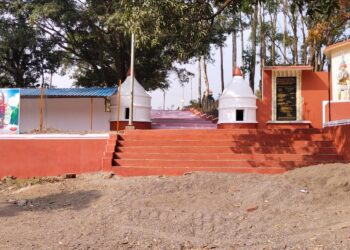 देवगोई याहा मोगी माता मंदिर परिसर आदिवासी संस्कृती दर्शविणारे चित्र ठरलेत आकर्षण