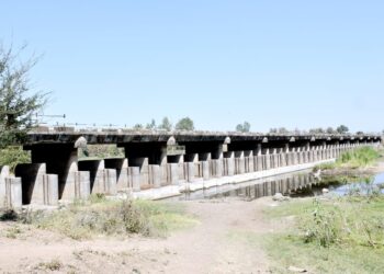 पुलावरून 20 फूट खाली पडल्याने युवकाचा मृत्यू