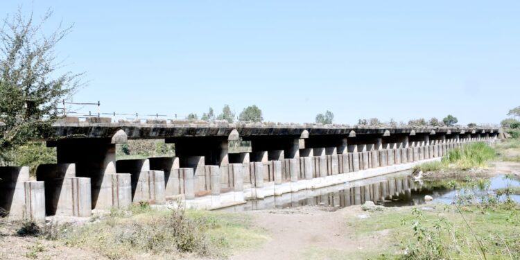 पुलावरून 20 फूट खाली पडल्याने युवकाचा मृत्यू