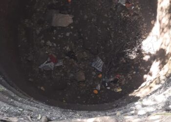 वन्यजीव संस्थेने दिले माणुसकीचे दर्शन