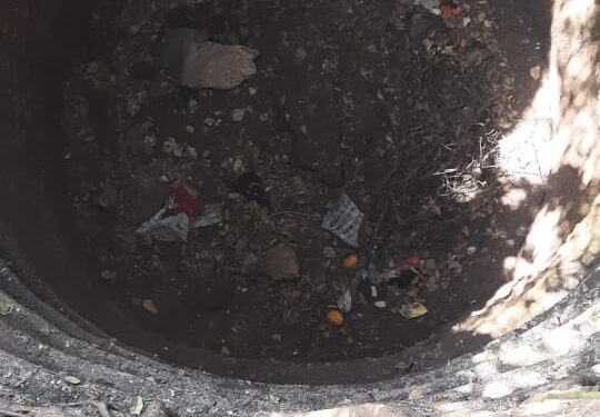 वन्यजीव संस्थेने दिले माणुसकीचे दर्शन