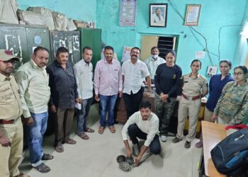 फिश टॅंक मध्ये चार कासवांना बंदिस्त ठेवल्याप्रकरणी नवापूर वन विभागाची कारवाई