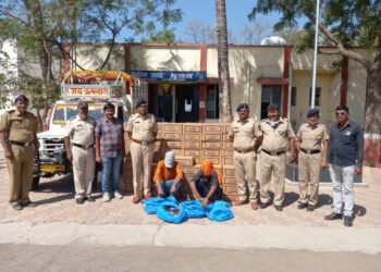 १३ लाख ९५ हजार रुपये किमंतीची बेकायदेशीर विदेशी दारु वाहतुकीवर म्हसावद पोलीसांची धडक कारवाई, दोघांना अटक