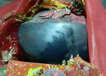 वडाळीत 10 एप्रिलला कानुबाई मातेचा बाहेरो लग्नोंत्सव ; लग्न लावण्यासाठी संपर्क साधण्याचे आयोजकांचे आवाहन