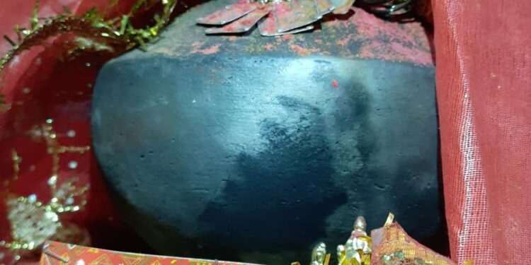 वडाळीत 10 एप्रिलला कानुबाई मातेचा बाहेरो लग्नोंत्सव ; लग्न लावण्यासाठी संपर्क साधण्याचे आयोजकांचे आवाहन