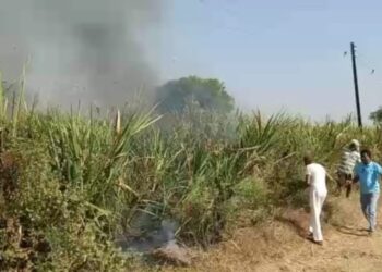 विखरण येथील दोन शेतकऱ्यांचा ऐन तोडणीवर आलेला चार एकर ऊस जळून खाक, नैराश्यापोटी शेतकऱ्याचा आत्महत्येचा प्रयत्न;परिसरात आठवड्यातील दुसरी घटना