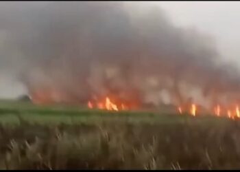 देऊर, कमखेडा , टेंबा शिवारात उसाला लागलेल्या आगीत  ५० एकरातील 11 शेतकऱ्यांचा ऊस जळून खाक