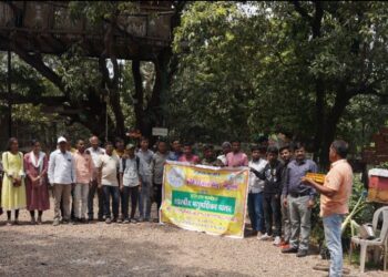 मधमाशी संवर्धनासाठी सर्वांनी प्रयत्न करणे आवश्यक : डॉ. खरबडे