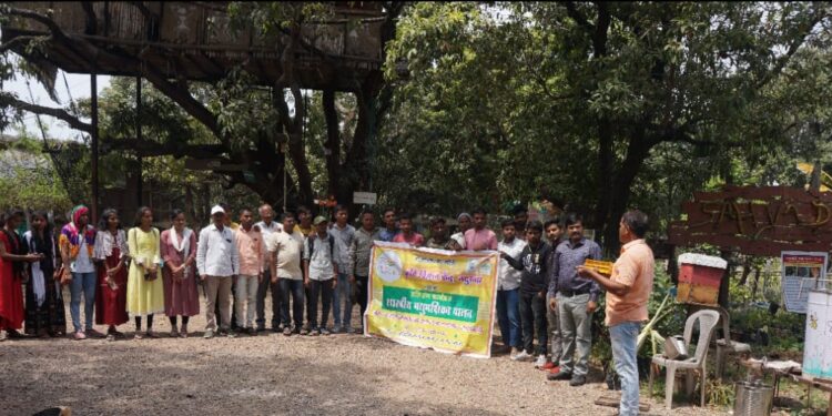 मधमाशी संवर्धनासाठी सर्वांनी प्रयत्न करणे आवश्यक : डॉ. खरबडे