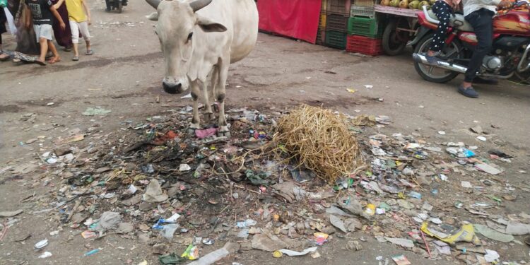 अक्कलकुवा सफाई कामगारांचे आठवडाभरापासून काम बंद आंदोलन
