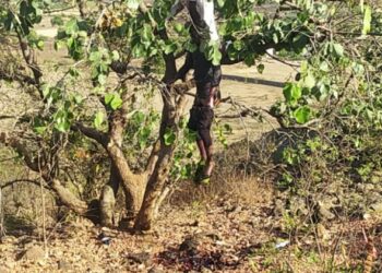 डोंगरगाव शिवारात एका झाडावर दोन तरुणांचा मृतदेह आढळला, ओळख पटविण्याचे पोलिसांचे आवाहन